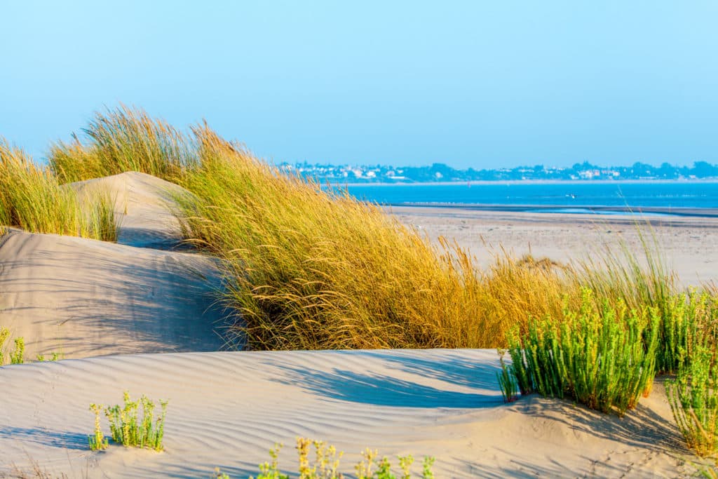 Parque Nacional de Doñana