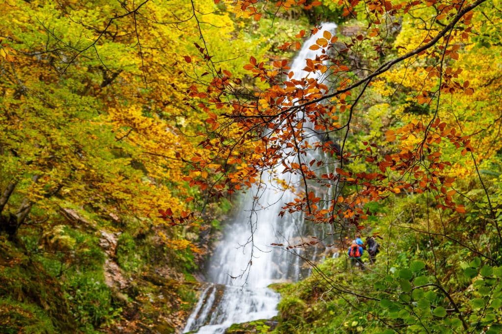 Hayedo de Montegrande y Cascada del Xiblu