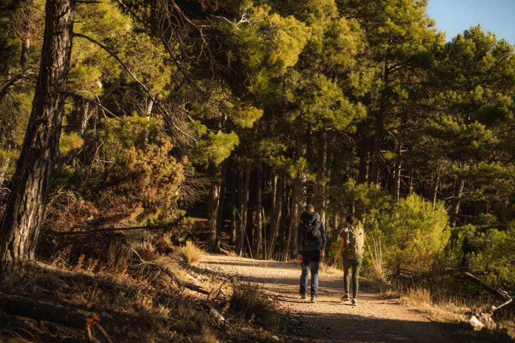 Naturaleza sensorial en la Región de Murcia