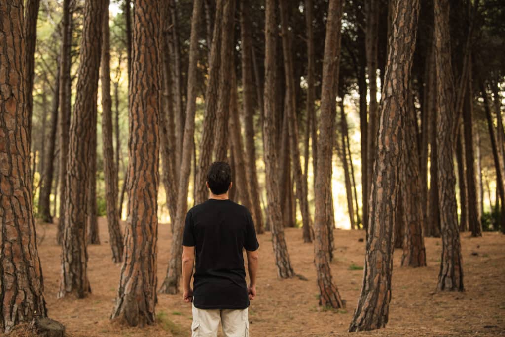 Naturaleza sensorial en la Región de Murcia