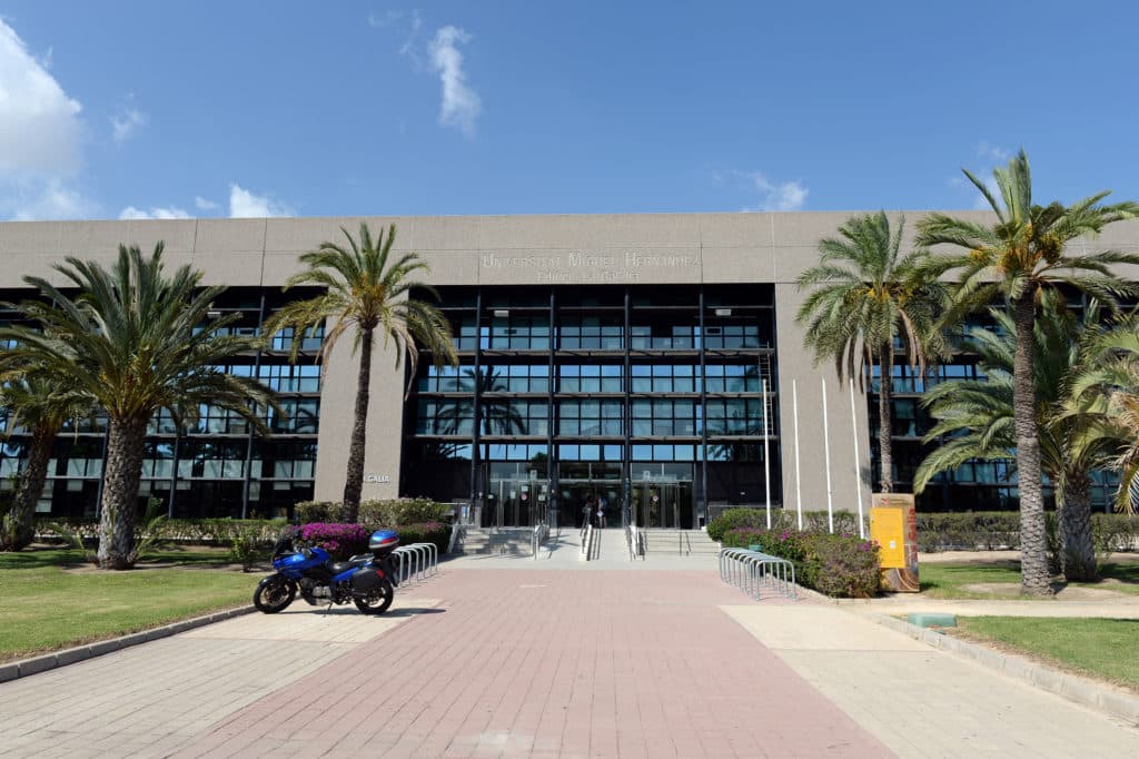 Universidad Miguel Hernández, Elche. 