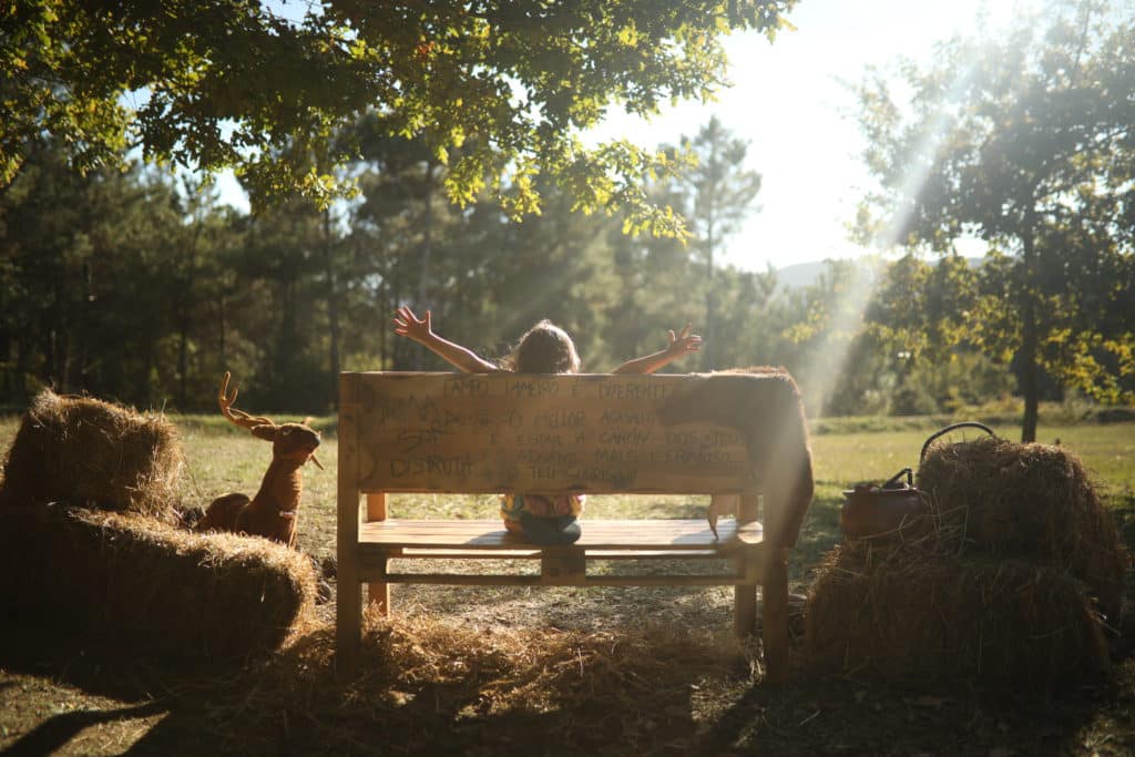 Campo Lameiro