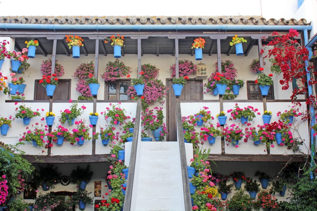 Patios de Córdoba