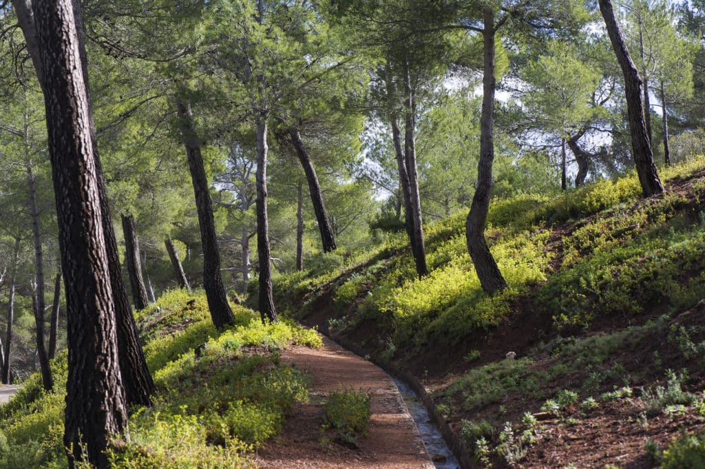 Sierra Espuña