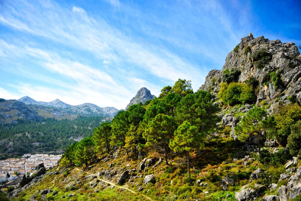 Rutas por la sierra de Cádiz: Grazalema