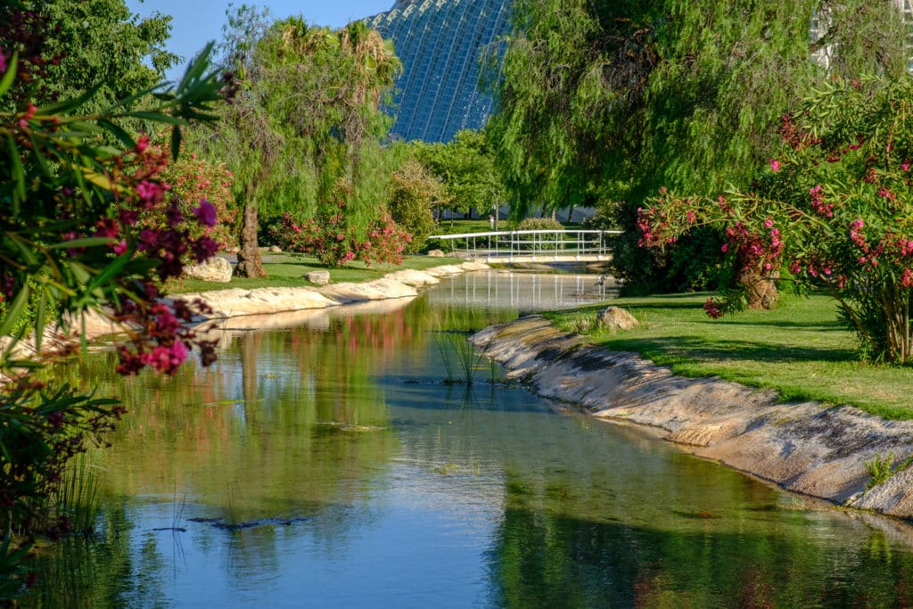 Jardín del Turia