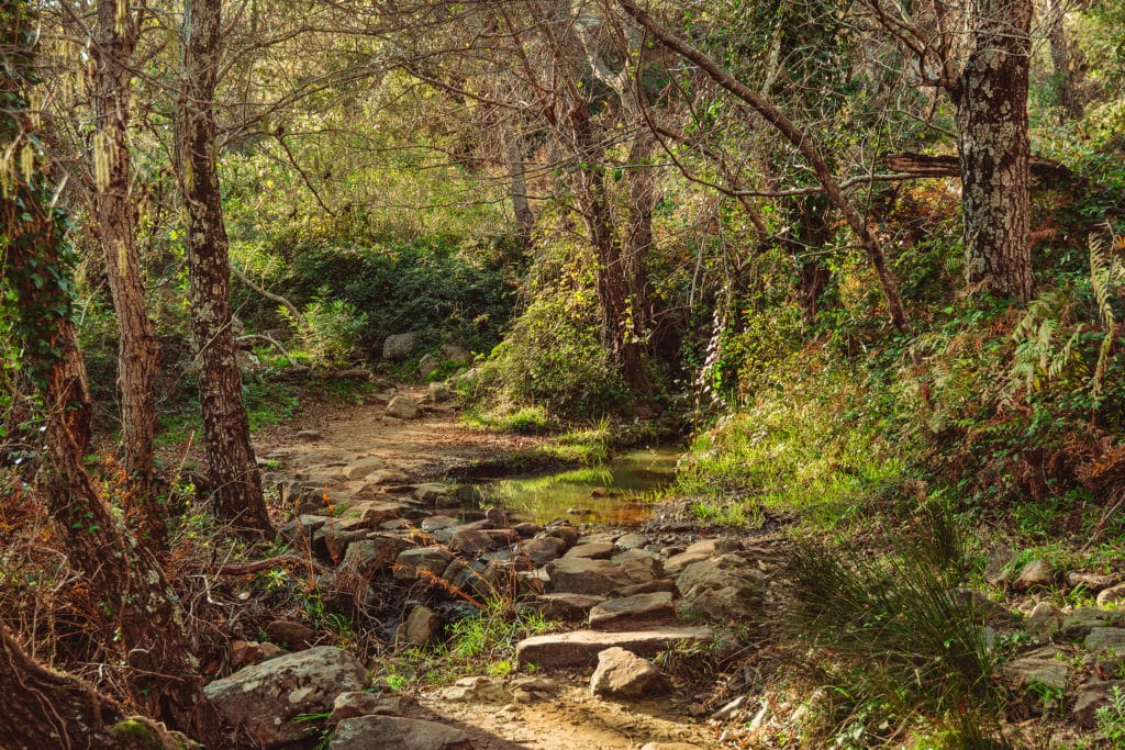 Ruta del río de la Miel