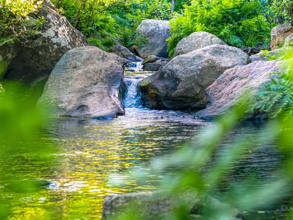 Ruta del río de la Miel.