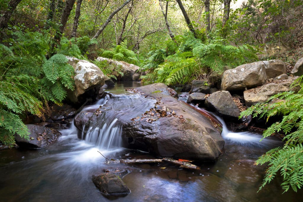 Ruta río de la Miel