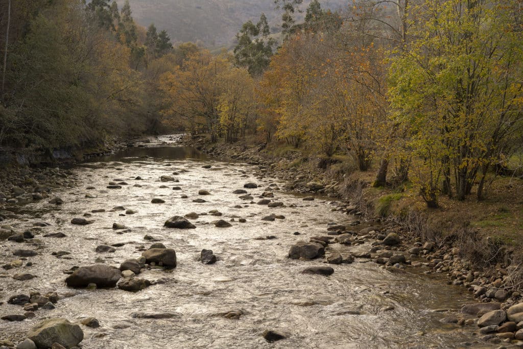 Valle de Cabuérniga