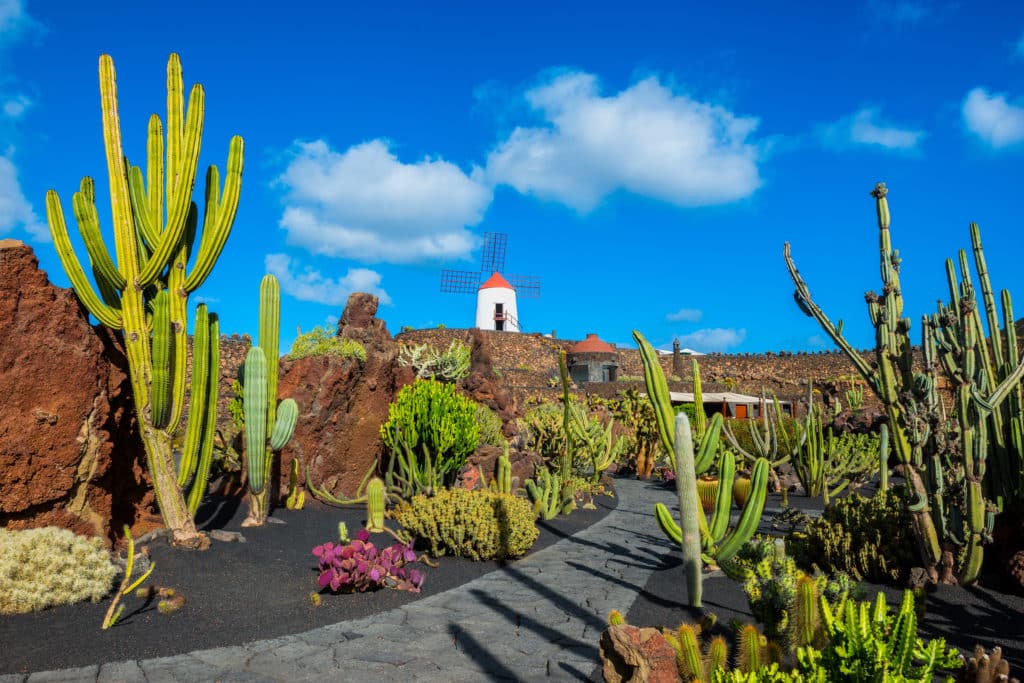 Jardín de cactus de Lanzarote