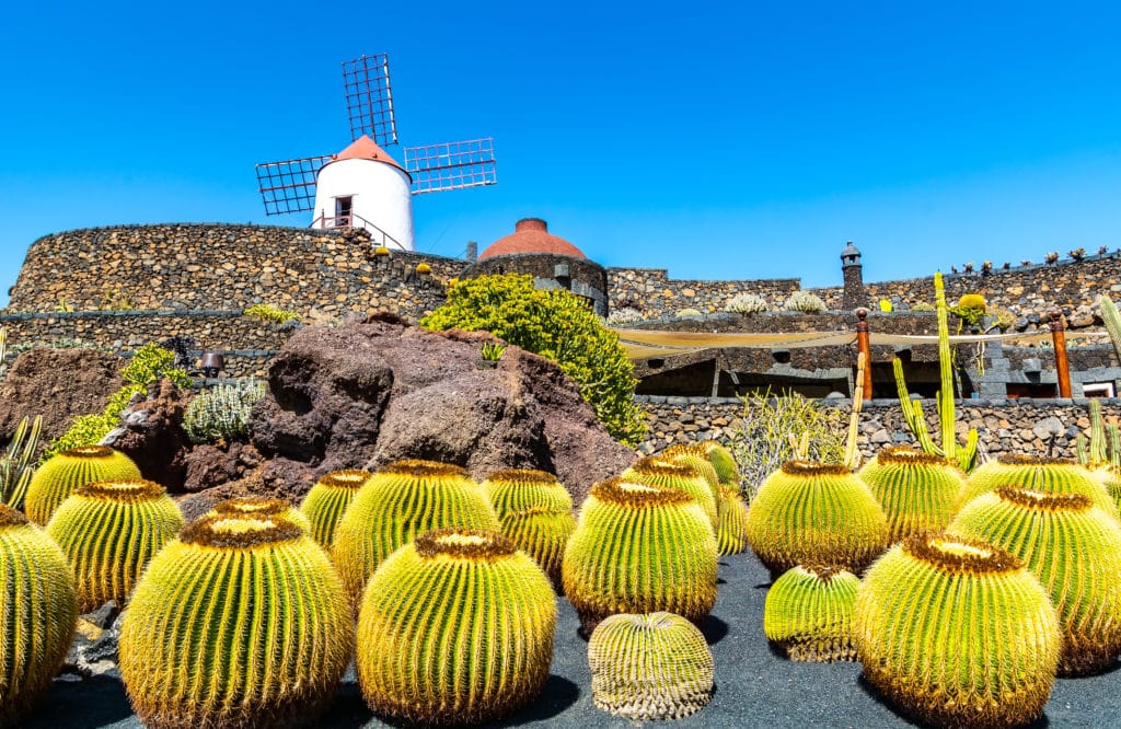 Jardín de Cactus de Lanzarote