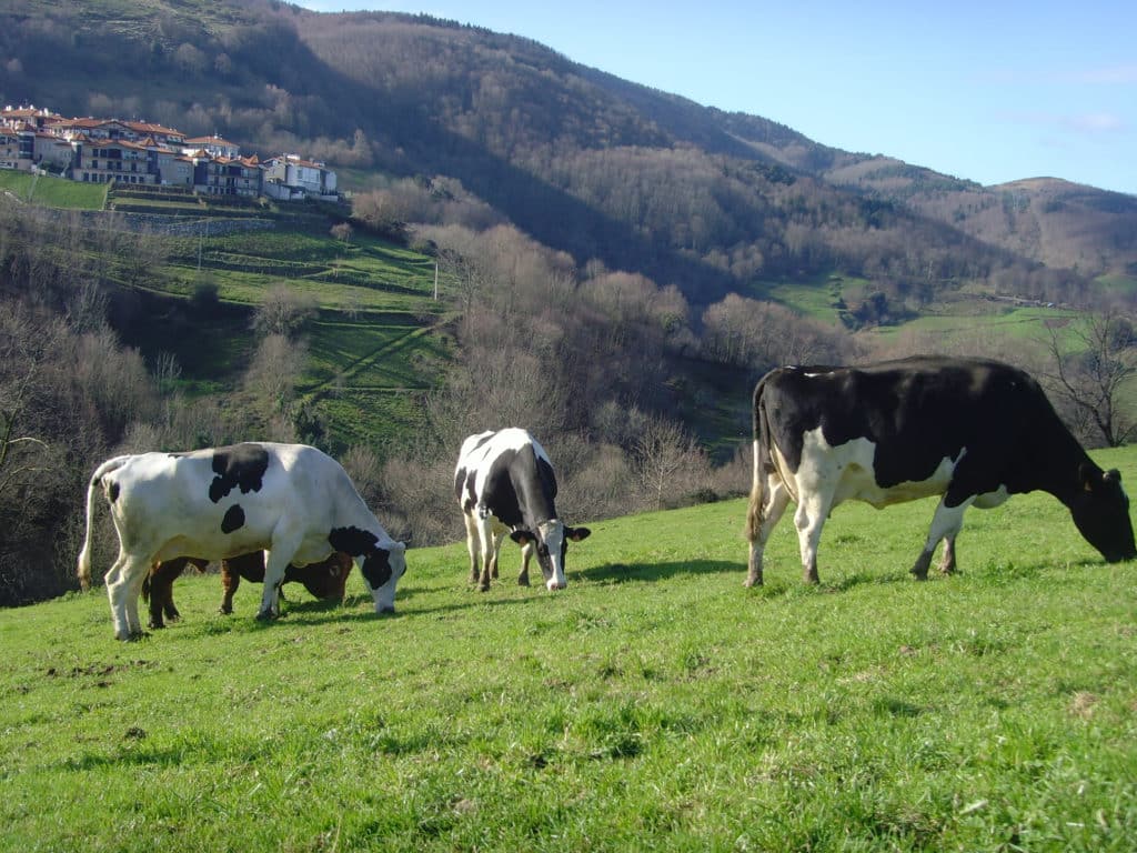 Casa Rural Azkue - Agroturismo