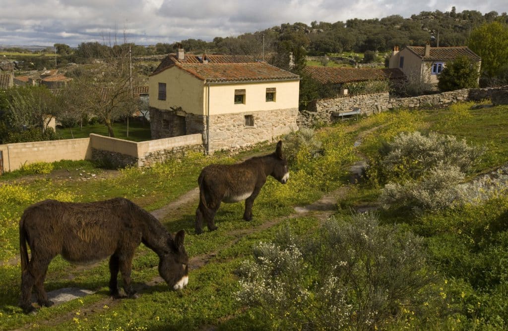 Casa de los Arribes