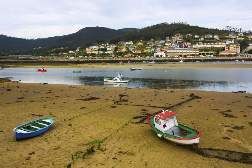 Viveiro