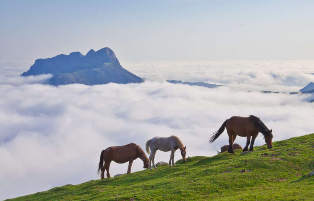 Peñas de Aya