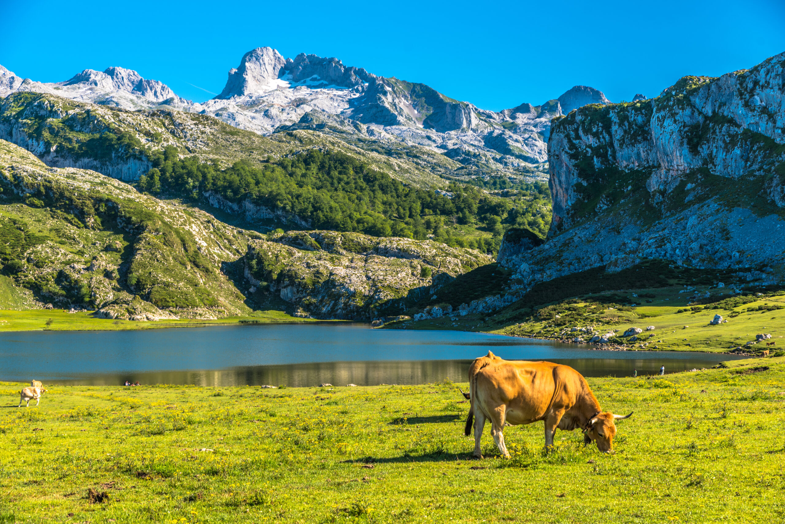 Lagos de Covadonga, Asturias