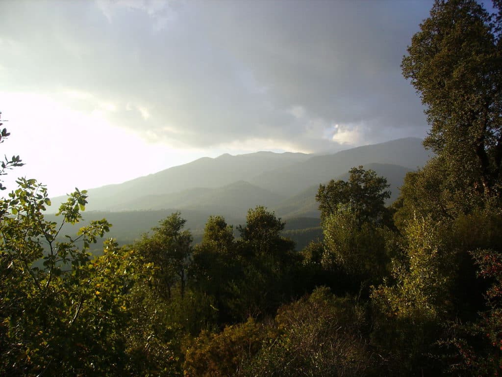 El Montseny