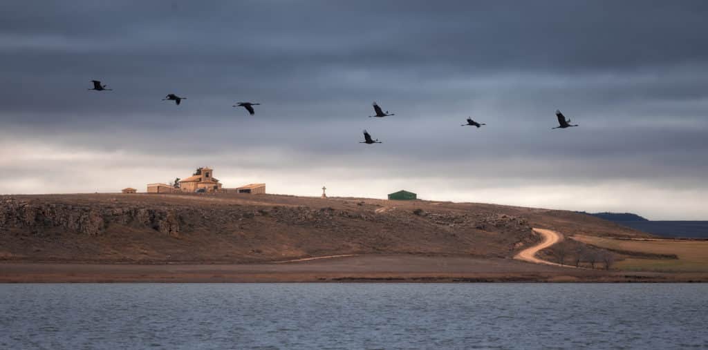 Gallocanta, está en el Camino del Cid, una de las rutas por España.