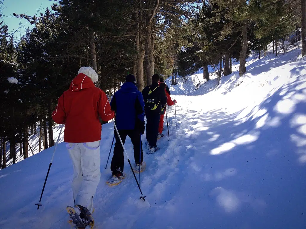 Montañeros realizando una ruta con raquetas de nieve.