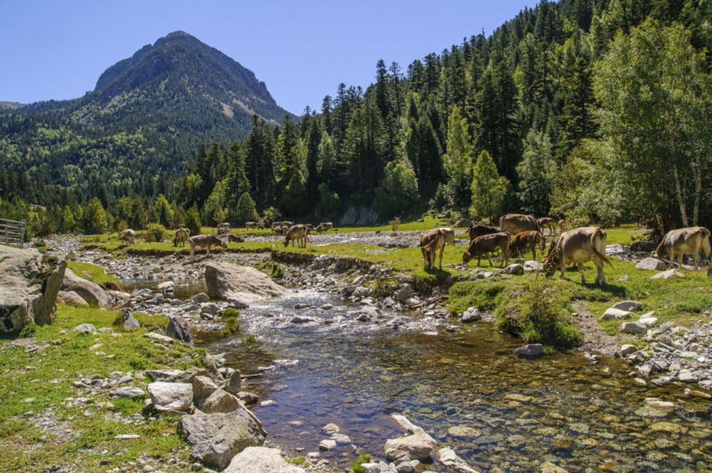 Destinos naturales: Aigüestortes