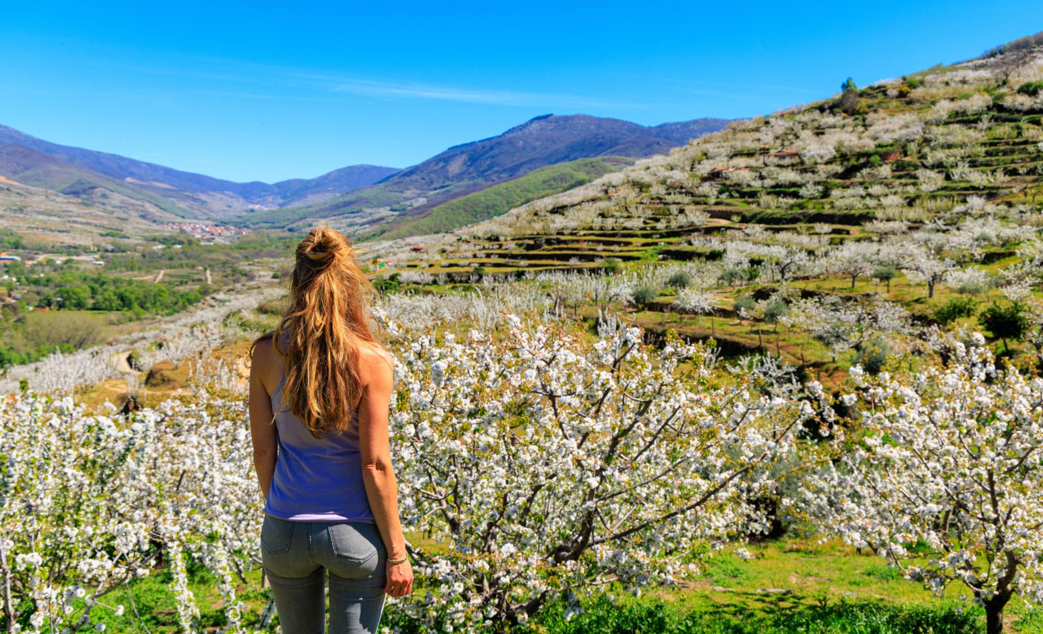 Ruta por el Valle del Jerte