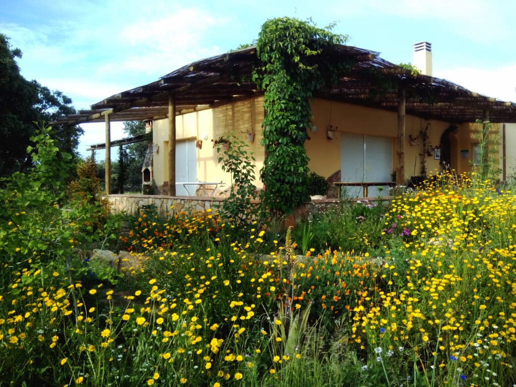 Casas que utilizan energías renovables: La Dehesa de Campoviejo