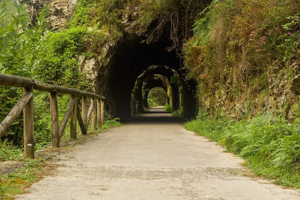 Senda del Oso, ruta de senderismo en Asturias