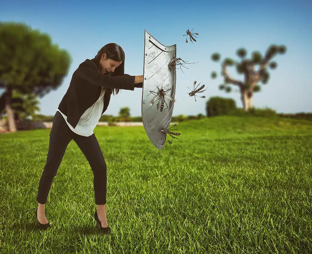 En verano luchamos para mantener a raya los mosquitos