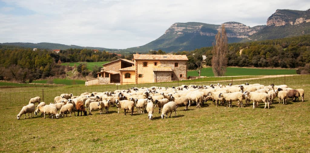 Cal Griva, casa aislada