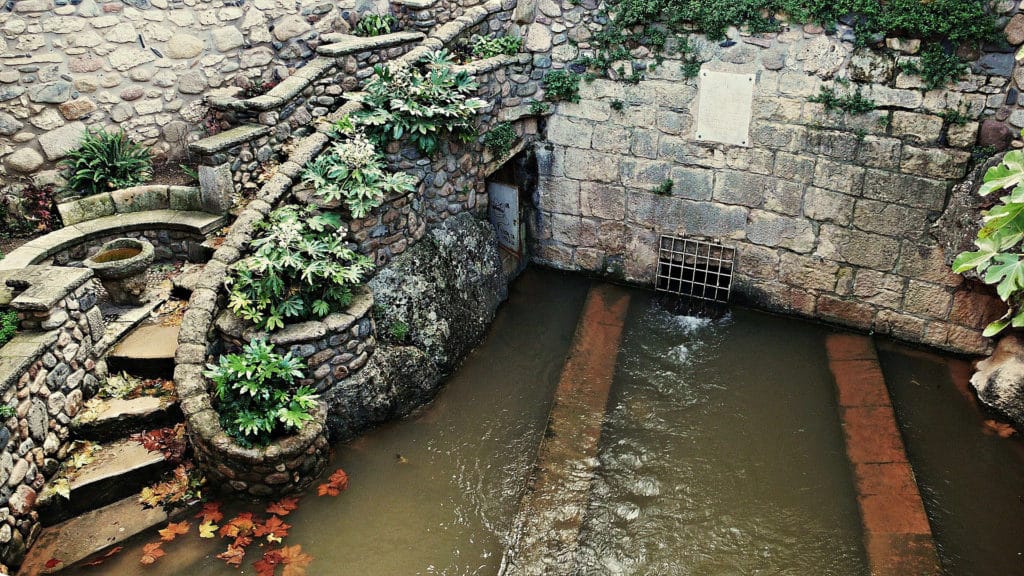 Nacimiento del Francolí