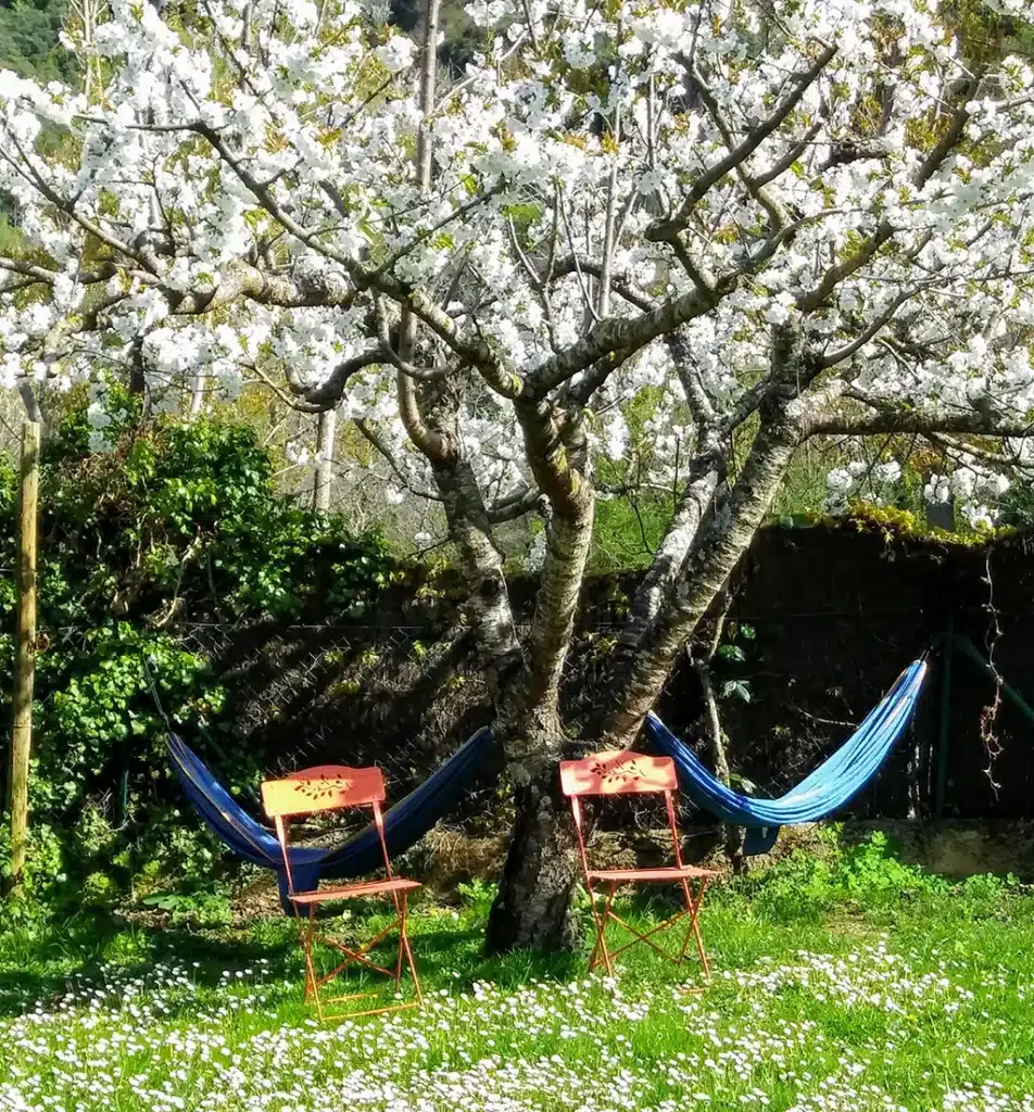 Casa rural La Mallada, en Ozuela (León).