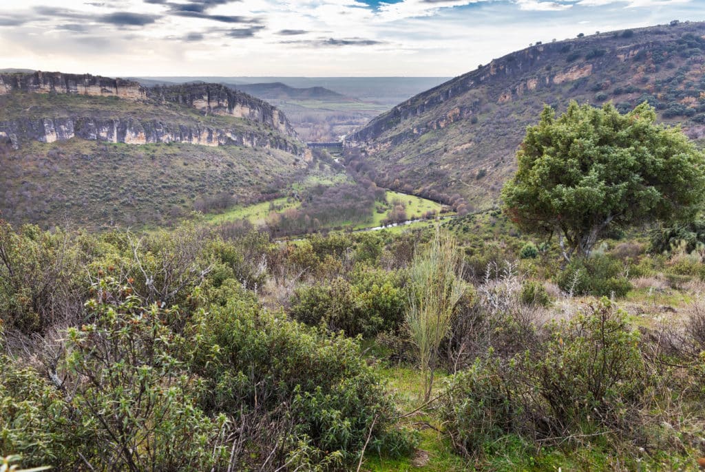 Presa del Pontón de la Oliva