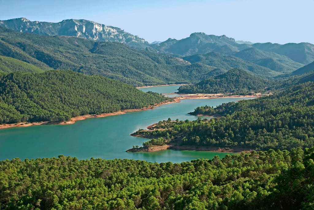 La bonita Sierra de Cazorla,  árboles más longevos