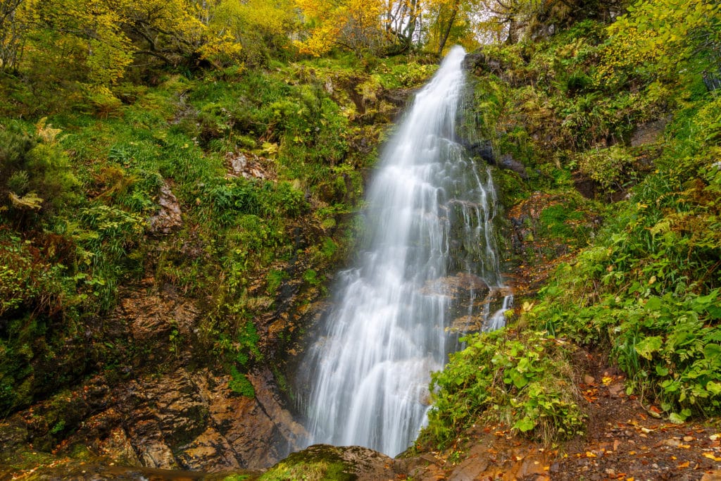 Ruta por el bosque Hayedo de Montegrande y Cascada del Xiblu, Asturias