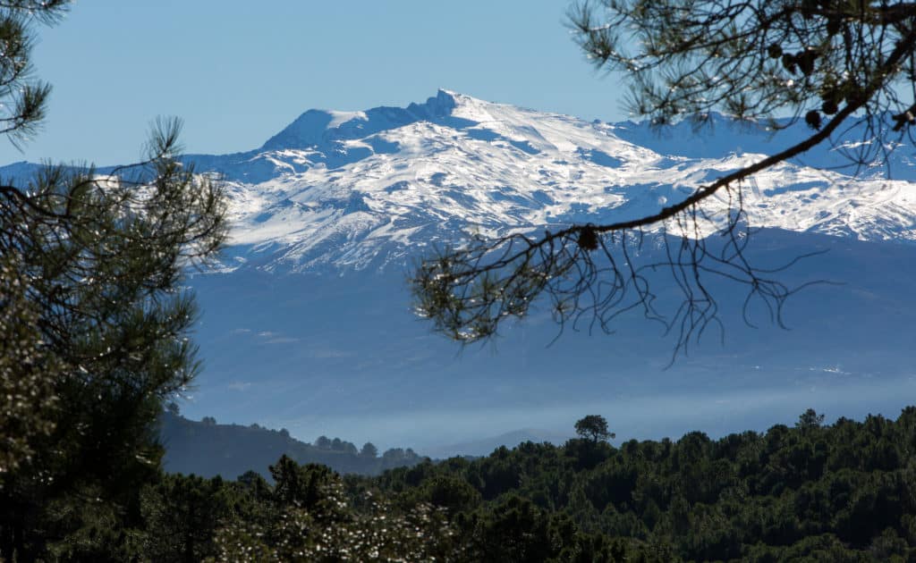 Paisajes con nieve: Sierra Nevada