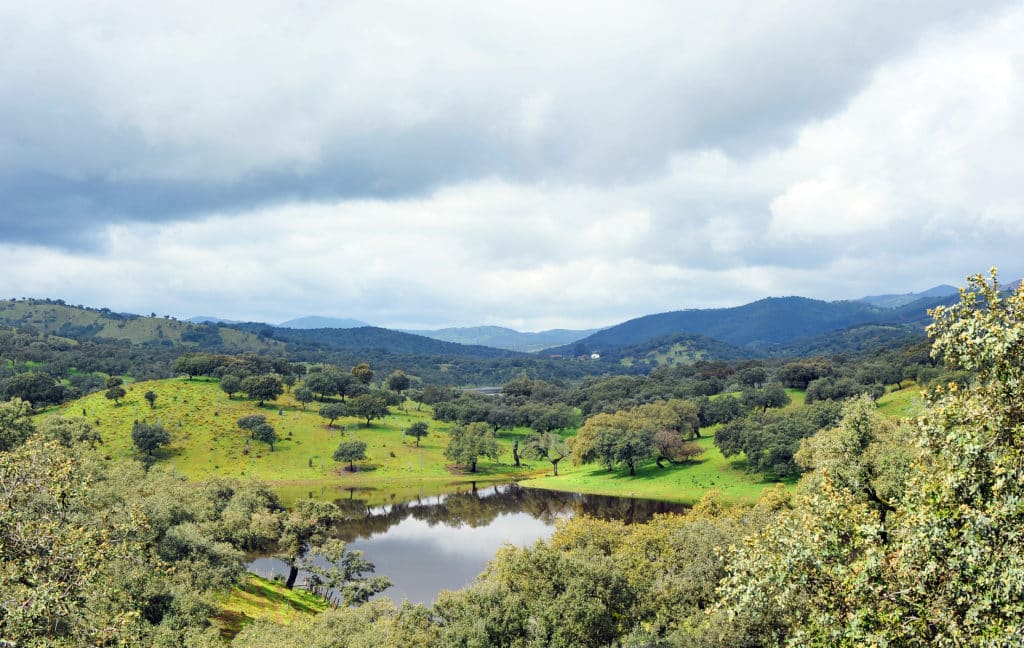 Parque Natural Sierra de Aracena, Huelva. Por JoserPizarro