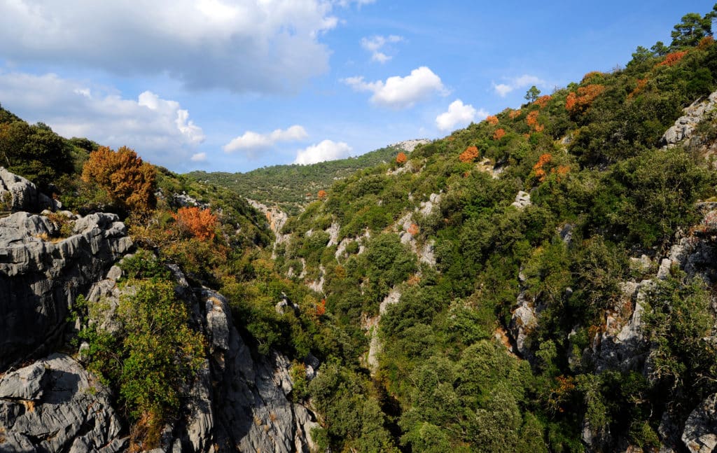 Sierra de Cazorla en noviembre