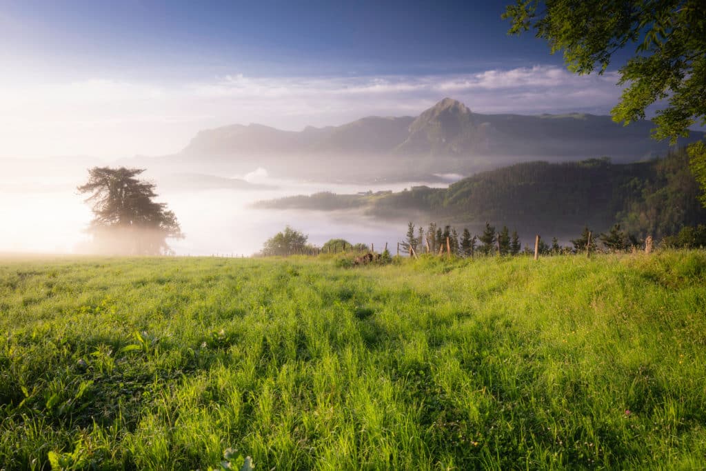 Sierra de Aralar