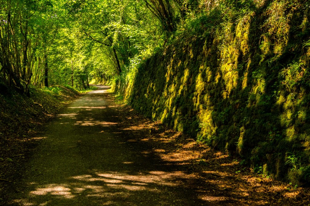 Ruta en bicicleta por la Vía Verde de Plazaola