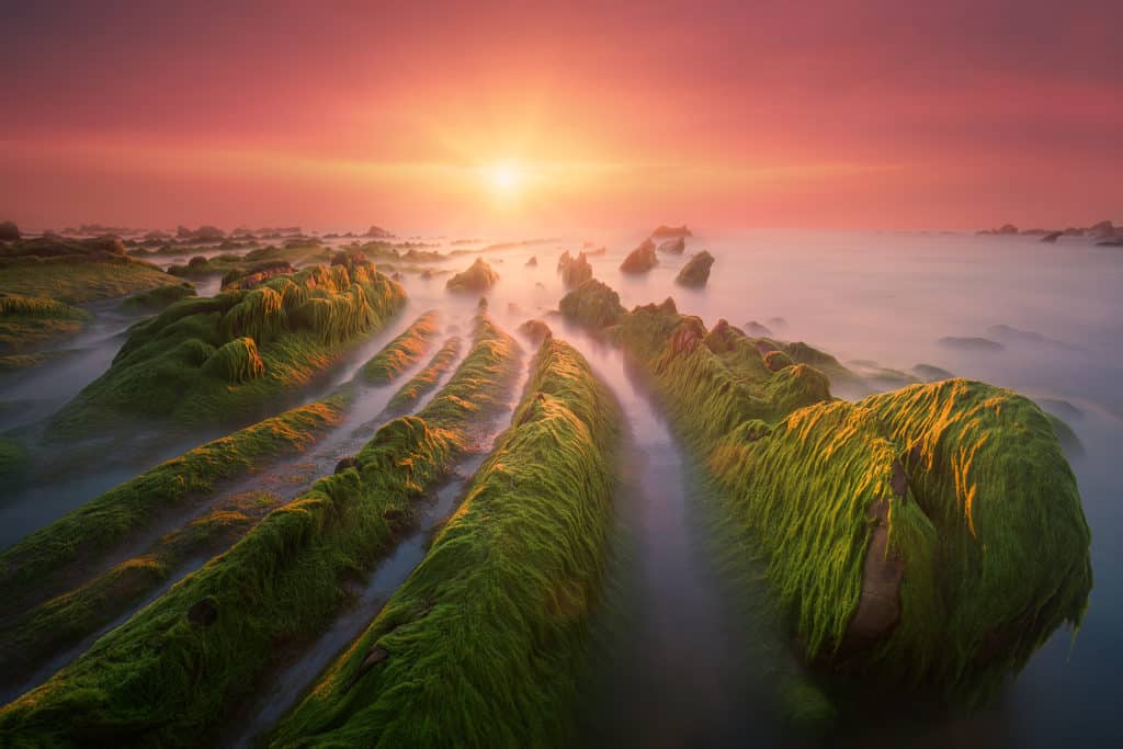 Planes para parejas. Barrika, Viscaya