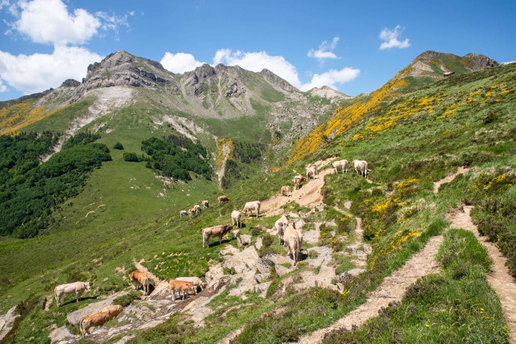 Ruta de las Golondrinas