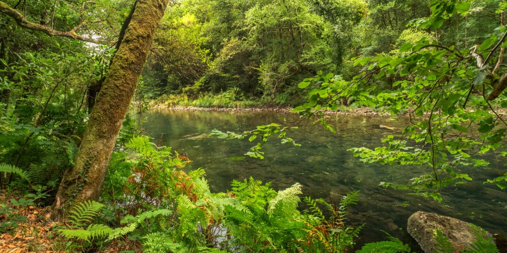 Parques Naturales de España: Fragas do Eume