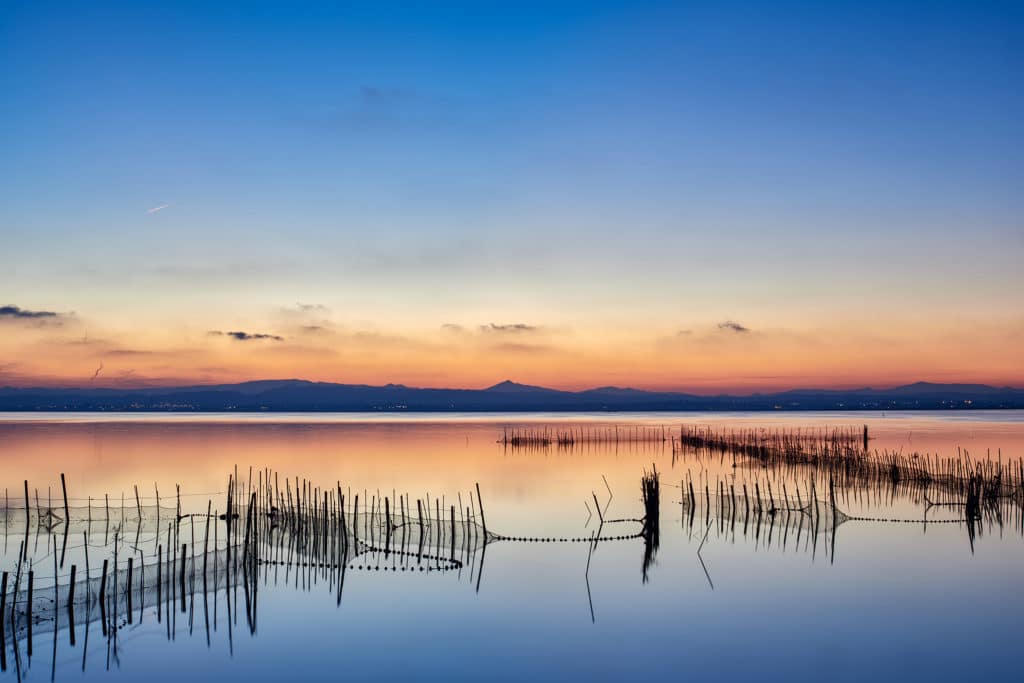 L´Albufera