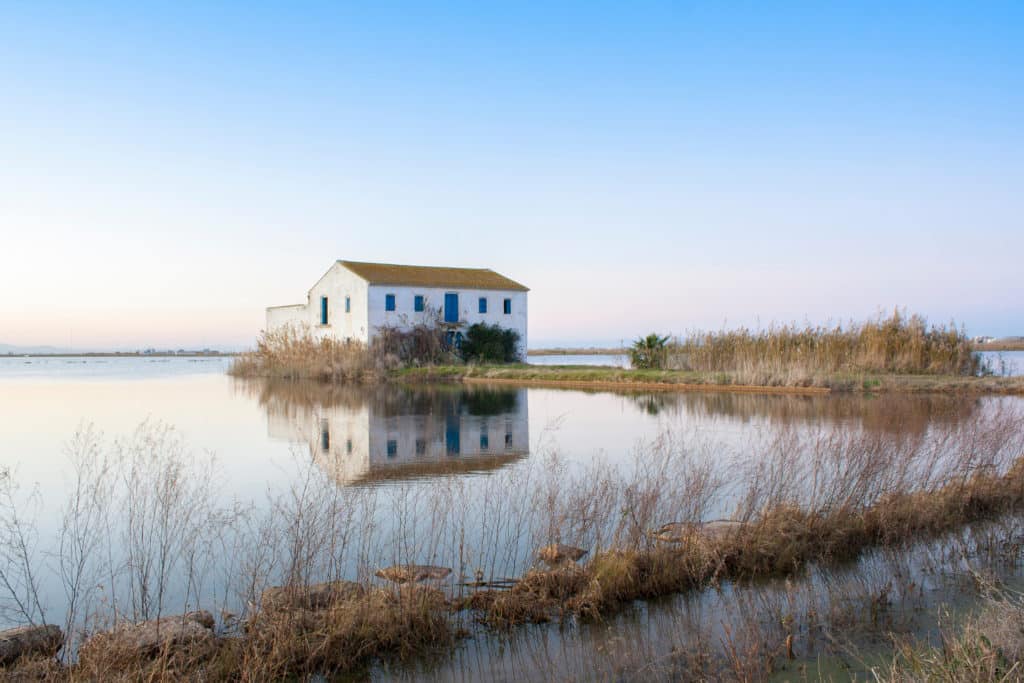 L´Albufera