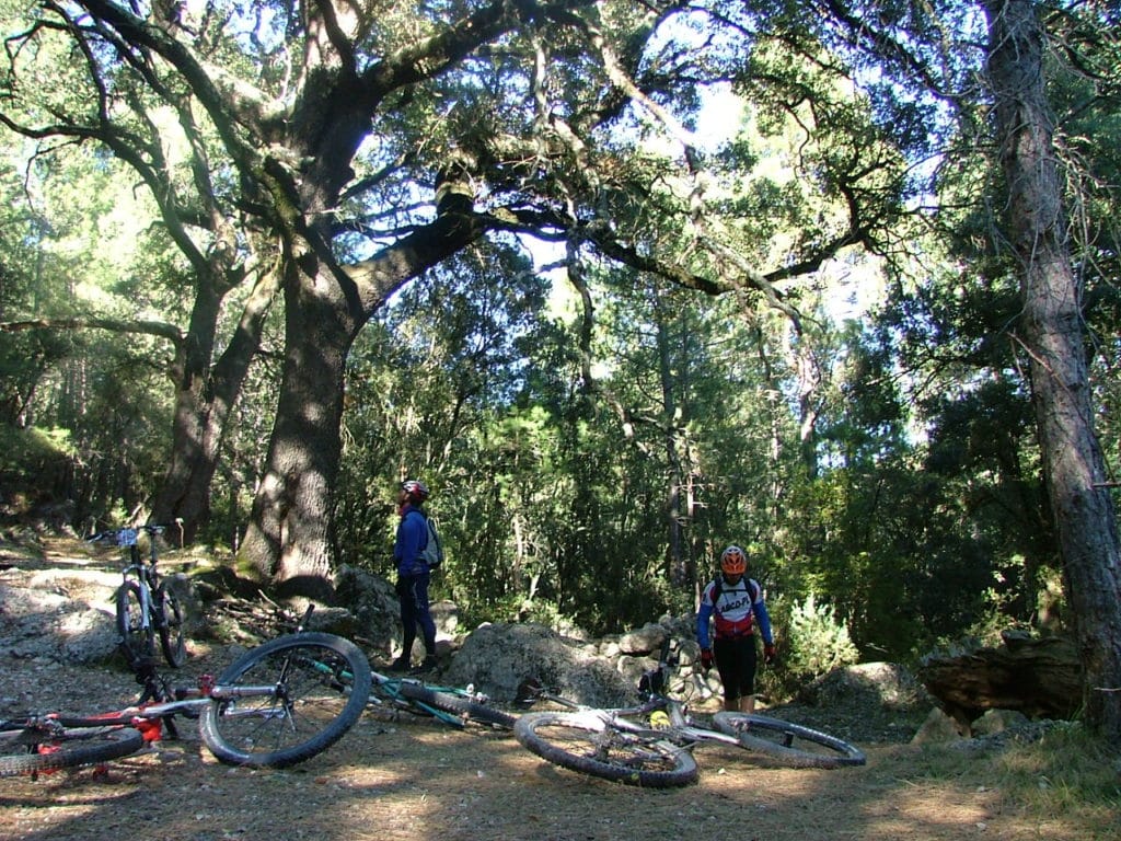 Cicloturismo en Castellón