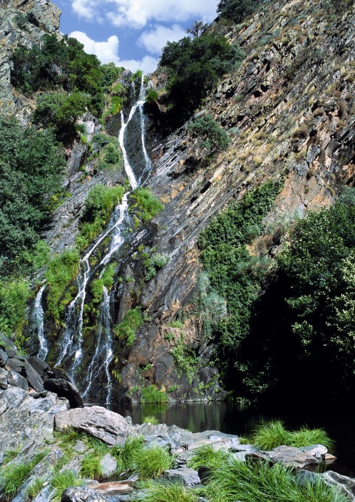 Chorrituelo en Ovejuela