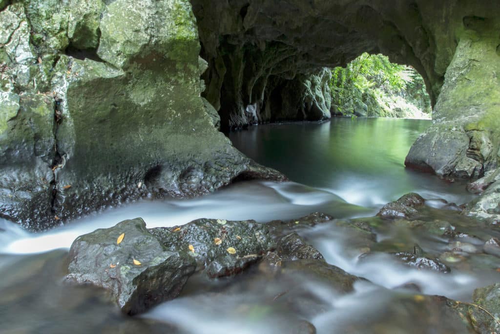 Fuente del francés