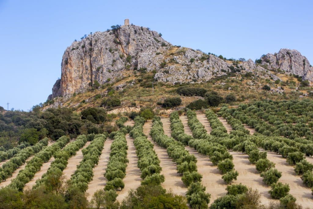 Torre de Abril