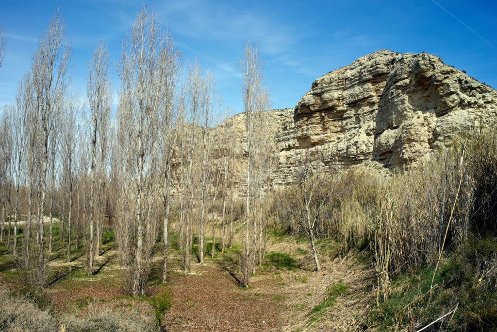 Galacho de Juslibol